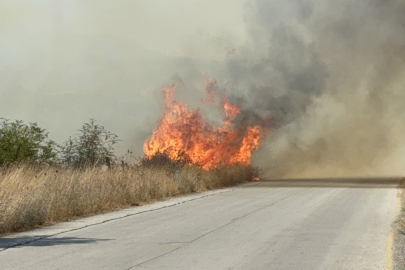 Çanakkale’de Çıkan Anız Yangını Söndürüldü