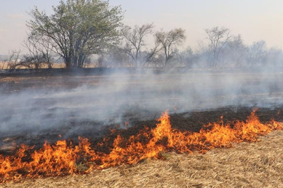 Malkara'da Anız Yangını