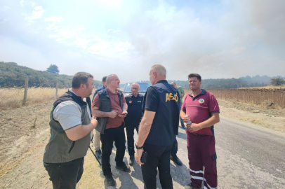 Afetlere Müdahale Genel Müdürü Ergin, Tedbiren Tahliye Edilen Köylerde İncelemelerde Bulundu
