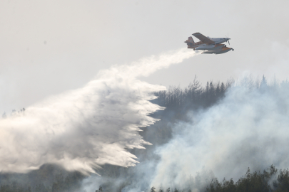 Çanakkale Gelibolu'da Ormanlık Alandaki Yangına Müdahale 2. Gününde Sürüyor