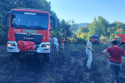 Çanakkale'de Zirai Alanda Çıkan Yangın Söndürüldü