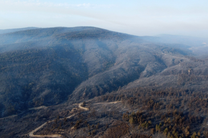 Gelibolu'da Büyük Ölçüde Kontrol Altına Alınan Orman Yangınında Yanan Yerler Dronla Görüntülendi