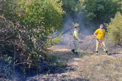 Kırklareli'nde Çıkan Orman Yangını Söndürüldü