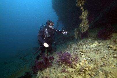 Çanakkale Boğazı Derinliklerindeki Kaptan Frangos Batığı