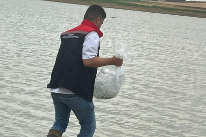 Hayrabolu'da Göle 200 Bin Yavru Sazan Bırakıldı