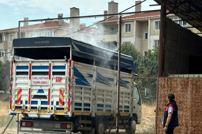 Lüleburgaz’da Hayvan Nakil Araçlarına Sıkı Denetim