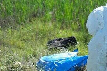 Malkara'da Kayıp Yaşlı Kadının Cansız Bedeni Bulundu