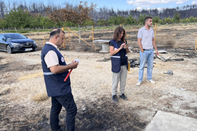 Çanakkale Gelibolu'daki Orman Yangınından Etkilenen Köylerde Hasar Tespit Çalışması Yürütülüyor