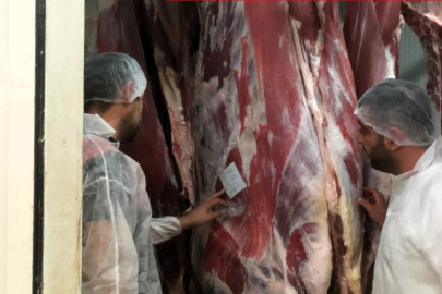 Kırklareli’nde Mezbahaneler Düzenli Olarak Denetleniyor