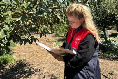 Lüleburgaz’da Akdeniz Meyve Sineği Tuzakları Düzenli Olarak Kontrol Ediliyor