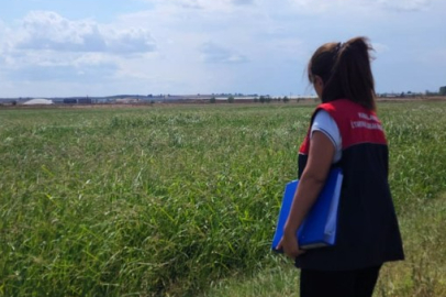 Lüleburgaz’da Çeltik Ekiliş Alanlarında Denetim