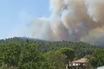 Çanakkale'de Orman Yangını