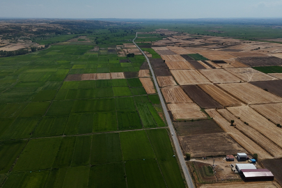Edirne'de Sağanak Yağış Ekili Ürünlere Can Suyu Oldu