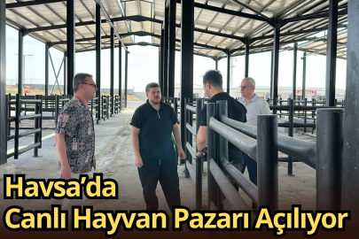 Havsa’da Canlı Hayvan Pazarı Açılıyor