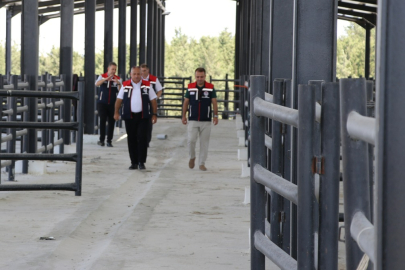 İl Tarım Müdürü Köse’den Havsa Canlı Hayvan Pazarı’na İnceleme