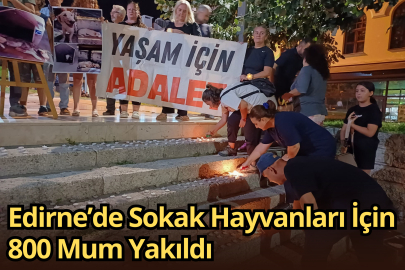 Edirne’de Sokak Hayvanları İçin 800 Mum Yakıldı