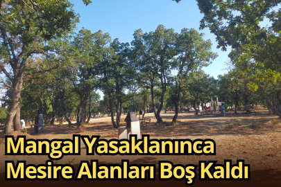 Mangal Yasaklanınca Mesire Alanları Boş Kaldı