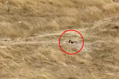 Kapaklı'da Güpegündüz Boş Alanda Uygunsuz Görüntülere Tepki