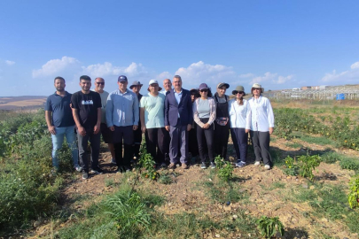 Tekirdağ NKÜ Rektörü Şahin, Ziraat Çiftlik'te İncelemelerde Bulundu