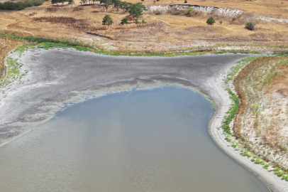 Edirne'deki Demirhanlı Göleti'nin Suyu Kuraklık Nedeniyle Tükenmek Üzere