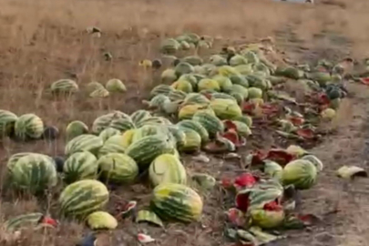 Tekirdağ’da İsraf Tepkisi: Karpuzlar Yola Saçıldı
