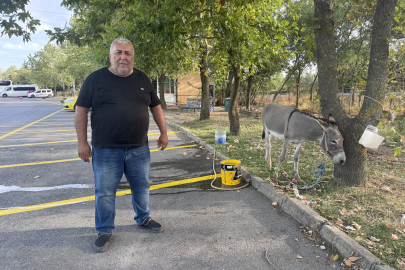 Edirne'de Taksicilerin Sahiplendiği Eşek "Kadife" Otogarın Maskotu Oldu