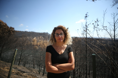 Orman Yangınları Deniz Ekosistemini de Tehdit Ediyor