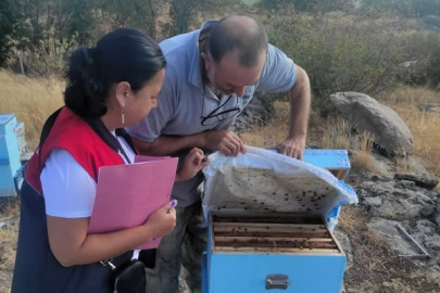 Pınarhisar’da Arılı Kovan Tespit Çalışmaları Sürüyor