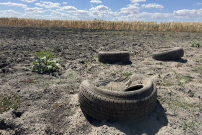 Edirne'deki Yağcılı Göleti Kuraklık Nedeniyle Kurudu