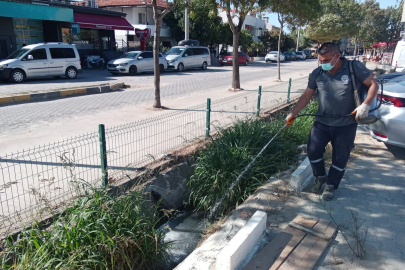 Keşan Belediyesi’nden Larvasit ve Uçkunla Mücadele Çalışmaları