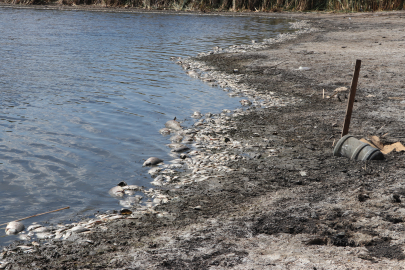 Tekirdağ'da Su Seviyesi Düşen Gölette Oksijensiz Kalan Balıklar Telef Oldu