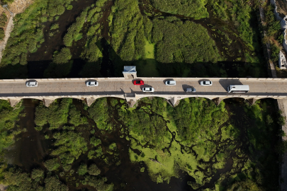 Tunca Nehri’nde Kuraklık: Otlar Yayıldı, Su Yüzeyi Yeşile Döndü