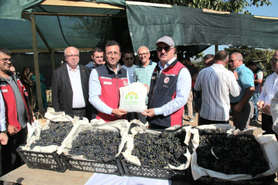 Aronya Yetiştiriciliğinde Türkiye 3’üncüsü Olan Çanakkale’de İlk Hasat Gerçekleştirildi