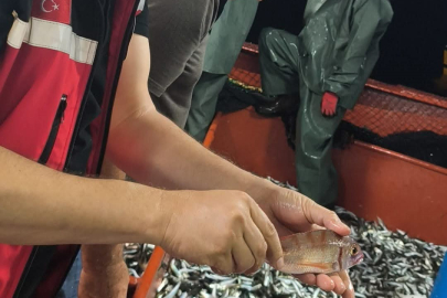 Denizde Sezonun İlk Mahsulleri Avlandı