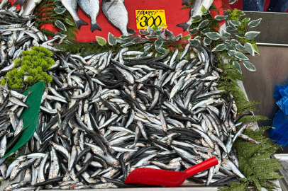 Edirne’de Hamsinin Kilosu 300 TL’den Satışta