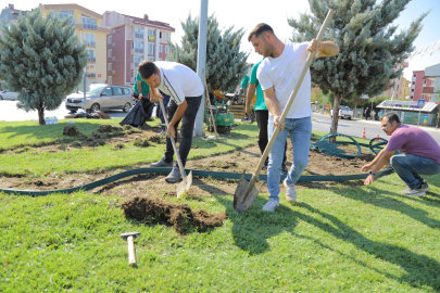Edirne’de Park ve Bahçelerde Peyzaj Düzenleme Çalışmaları Başladı