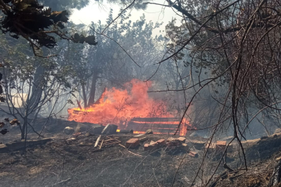 Gelibolu'da Anızda Çıkan Yangın Söndürüldü