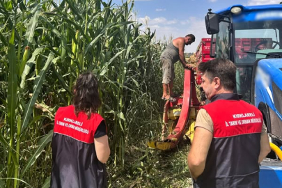 Kırklareli’nde Silajlık Mısır Hasat Çalışmaları Sürüyor