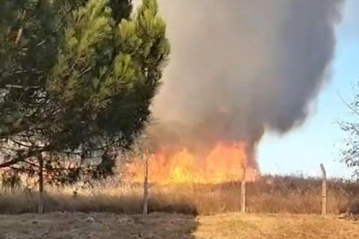 Tekirdağ'da Korkutan Yangın