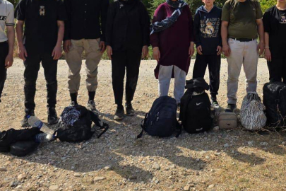 Edirne'de 20 Düzensiz Göçmen Yakalandı