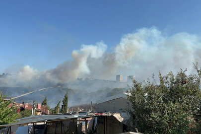 Otluk Alanda Çıkan Yangın, Fabrikaları ve Villayı Tehdit Etti