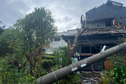 Peipah Tayfunu Japonya’yı Vurdu