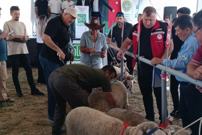 Tekirdağ’da Küçükbaş Hayvancılık Yarışmaları Düzenlendi