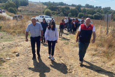 Kaymakam Ünlü, Ayçiçeği Hasadını İnceledi