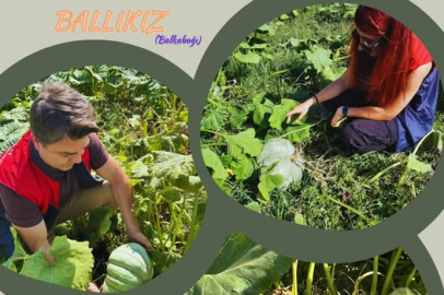 Pehlivanköy’de Ballıkız Cinsi Balkabağı Kontrolleri Yapıldı