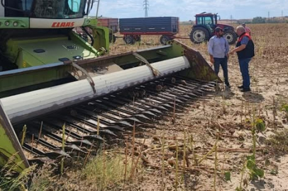 Babaeski’de Ayçiçeği Hasadı Devam Ediyor