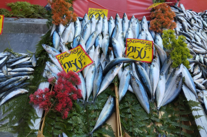 Edirne’de Balık Fiyatı Cep Yakıyor