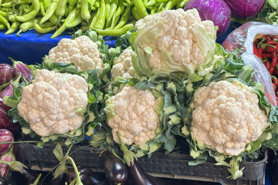 Edirne’de Karnabahar Tezgahlarda 120 TL’den Satışta