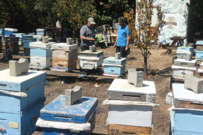 Kırklareli’nde Coğrafi İşaretli Meşe Balı Denetimleri Başladı