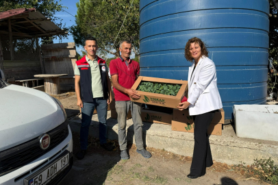 Tekirdağ’da Üreticilere Kışlık Sebze Fidesi Desteği Devam Ediyor